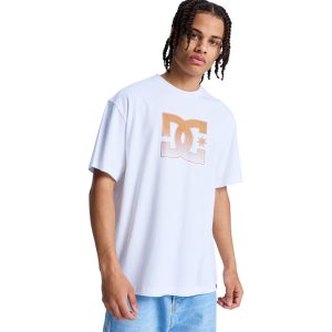 Men's DC Star Oxidized Heritage Short Sleeve Tees